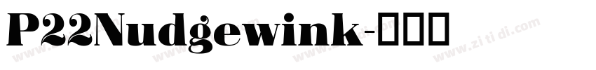 P22Nudgewink字体转换