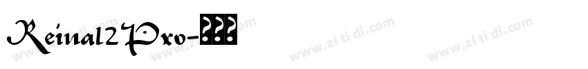 Reina12Pro字体转换