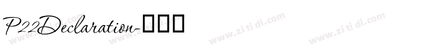 P22Declaration字体转换