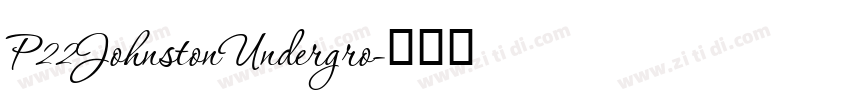 P22JohnstonUndergro字体转换