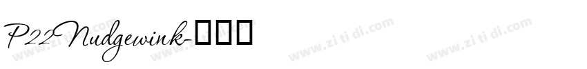 P22Nudgewink字体转换