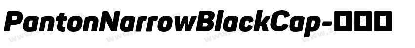 PantonNarrowBlackCap字体转换