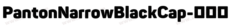 PantonNarrowBlackCap字体转换