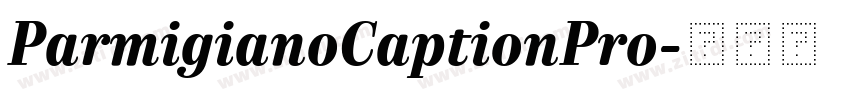 ParmigianoCaptionPro字体转换 ParmigianoCaptionPro字体转换
