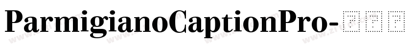 ParmigianoCaptionPro字体转换 ParmigianoCaptionPro字体转换