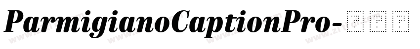 ParmigianoCaptionPro字体转换 ParmigianoCaptionPro字体转换