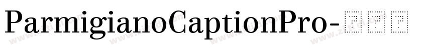 ParmigianoCaptionPro字体转换 ParmigianoCaptionPro字体转换