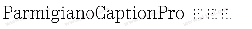 ParmigianoCaptionPro字体转换 ParmigianoCaptionPro字体转换