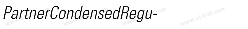 PartnerCondensedRegu字体转换