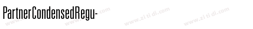 PartnerCondensedRegu字体转换
