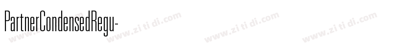 PartnerCondensedRegu字体转换