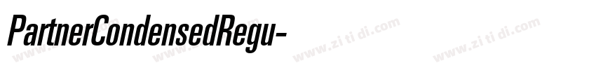 PartnerCondensedRegu字体转换