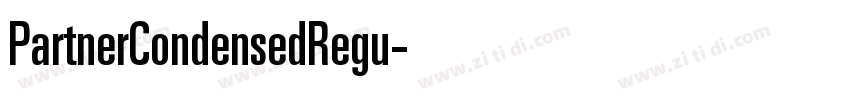 PartnerCondensedRegu字体转换