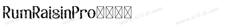 RumRaisinPro字体转换