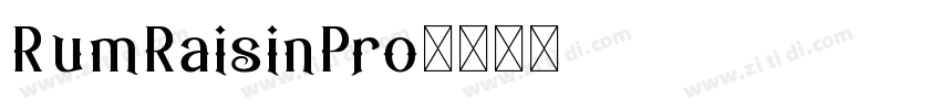 RumRaisinPro字体转换