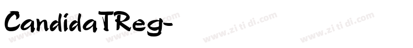 CandidaTReg字体转换