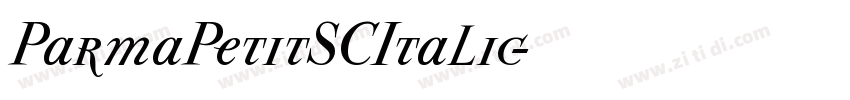 ParmaPetitSCItalic字体转换