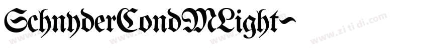 SchnyderCondMLight字体转换
