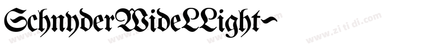 SchnyderWideLLight字体转换