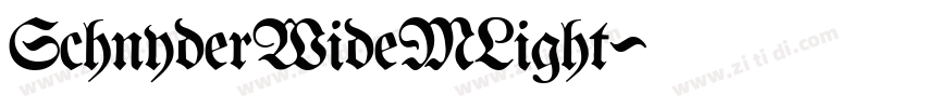 SchnyderWideMLight字体转换
