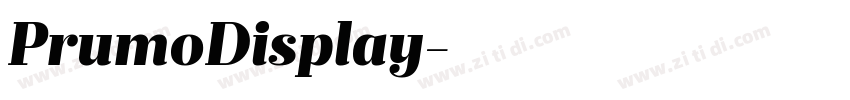 PrumoDisplay字体转换 PrumoDisplay字体转换
