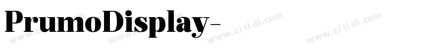 PrumoDisplay字体转换 PrumoDisplay字体转换