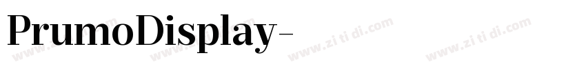 PrumoDisplay字体转换 PrumoDisplay字体转换