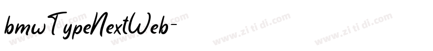 bmwTypeNextWeb字体转换