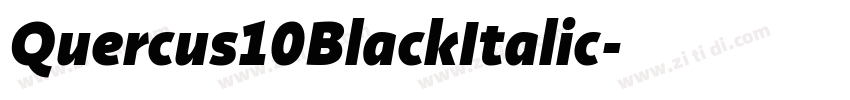 Quercus10BlackItalic字体转换