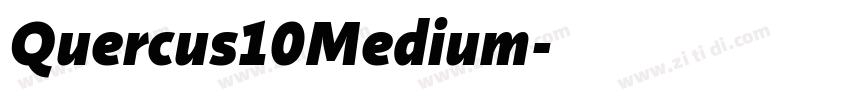 Quercus10Medium字体转换 Quercus10Medium字体转换