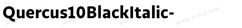 Quercus10BlackItalic字体转换