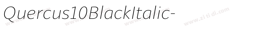 Quercus10BlackItalic字体转换