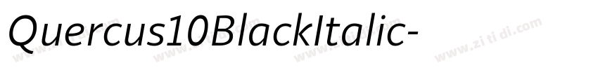 Quercus10BlackItalic字体转换