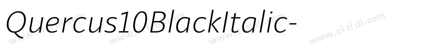 Quercus10BlackItalic字体转换