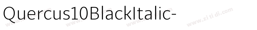 Quercus10BlackItalic字体转换