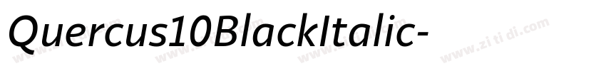Quercus10BlackItalic字体转换