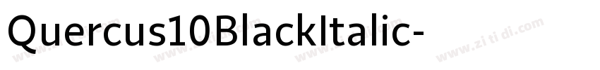 Quercus10BlackItalic字体转换 Quercus10BlackItalic字体转换