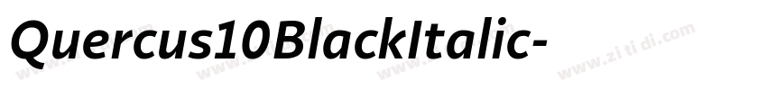 Quercus10BlackItalic字体转换