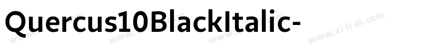 Quercus10BlackItalic字体转换