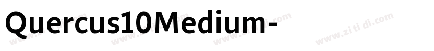 Quercus10Medium字体转换 Quercus10Medium字体转换