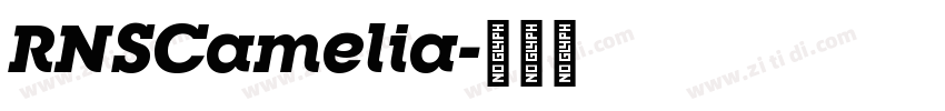 RNSCamelia字体转换