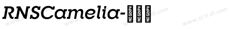 RNSCamelia字体转换