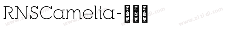 RNSCamelia字体转换