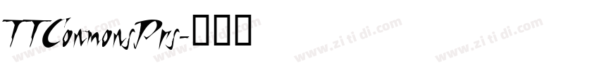TTConmonsPrs字体转换