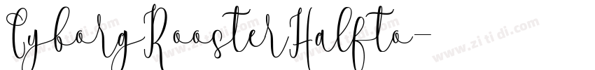 CyborgRoosterHalfto字体转换