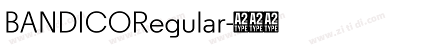 BANDICORegular字体转换