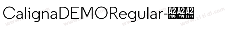 CalignaDEMORegular字体转换
