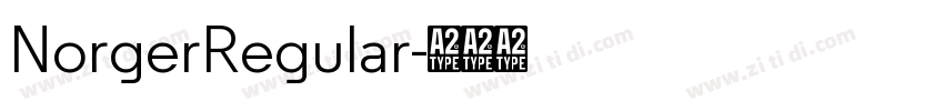 NorgerRegular字体转换
