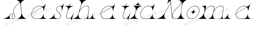 AestheticMomentItali字体转换
