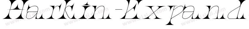 Harkin-ExpandedItali字体转换